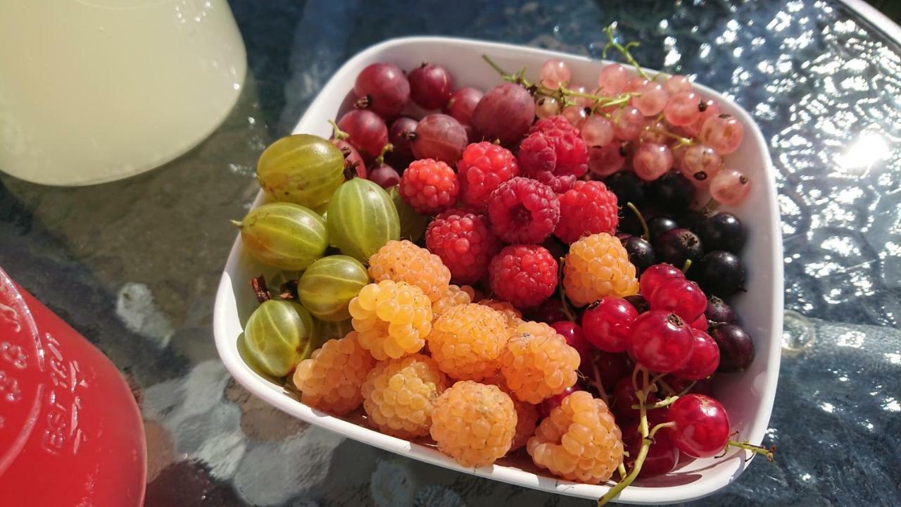 Svarte Garden Mellan Slotten מראה חיצוני תמונה